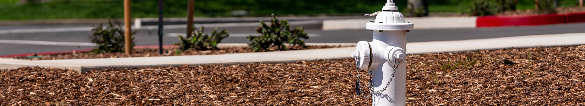 Insurance Agent FAQ Header
