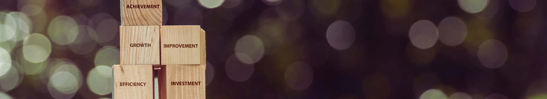 Transparency in Government Header 1