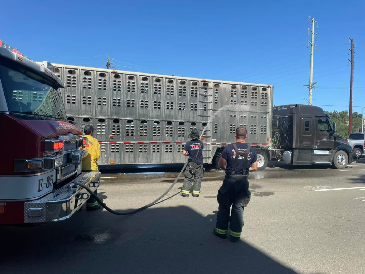 EDH Fire Save the Cows